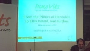 Innovits, “From the Pillars of Hercules to Ellis Island and more” , internazionalization