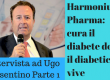 Ugo Cosentino, diabete, cura, Harmonium Pharma, intervista parte 1,https://bandwin.net/2017/06/03/harmonium-pharma-cura-il-diabete-dal-diabetico-p1/